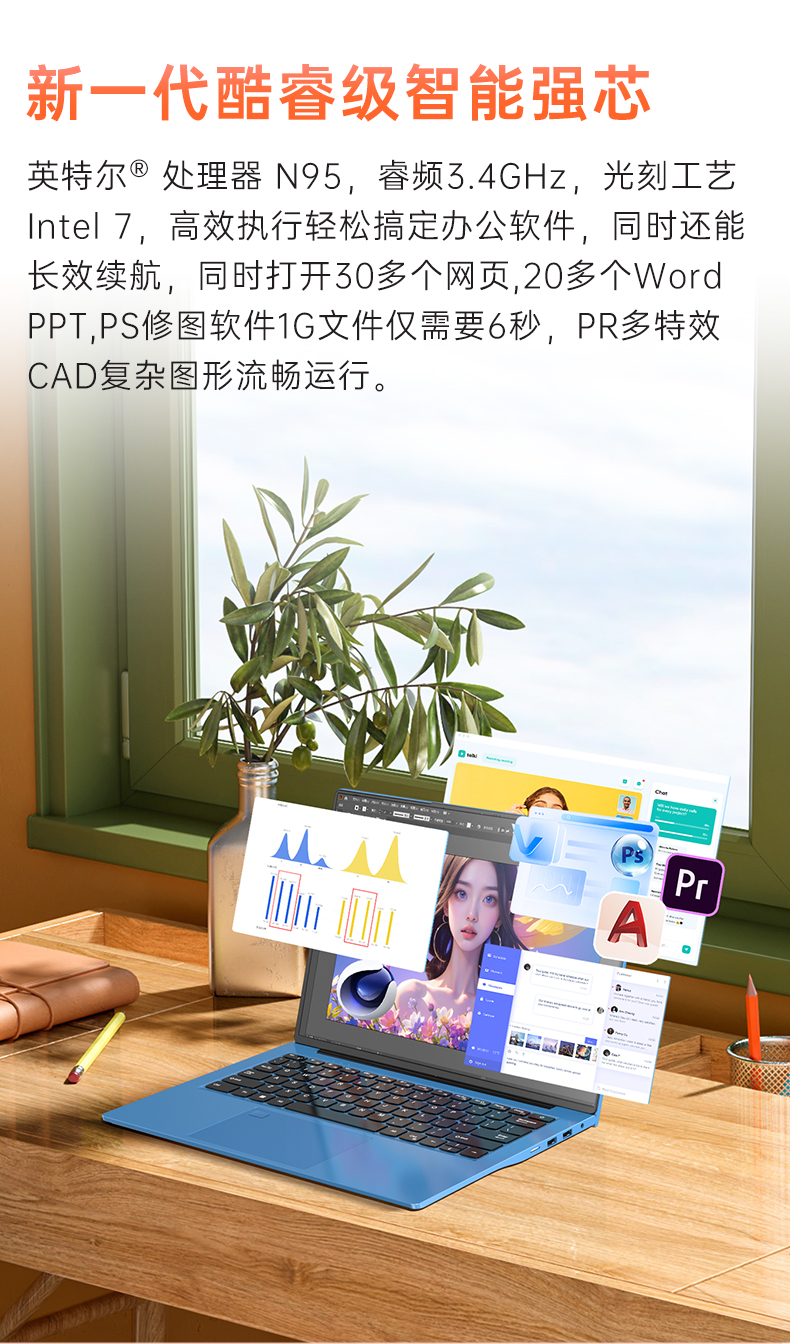 P14S_08.jpg